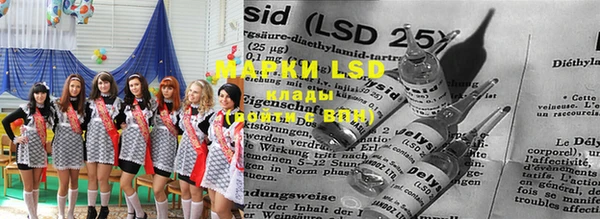spice Абаза