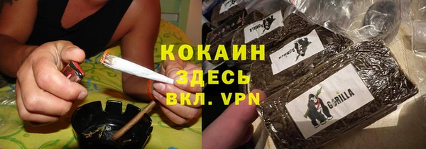 шишки Алзамай